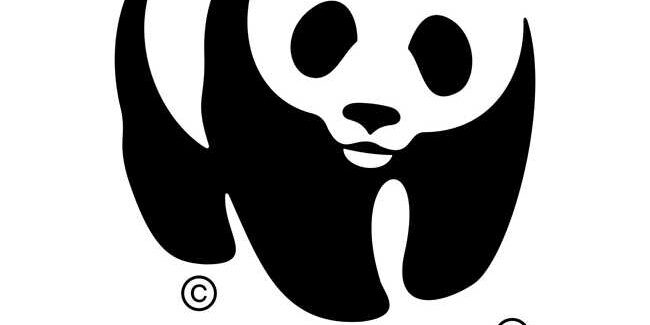 Lavorare nel WWF