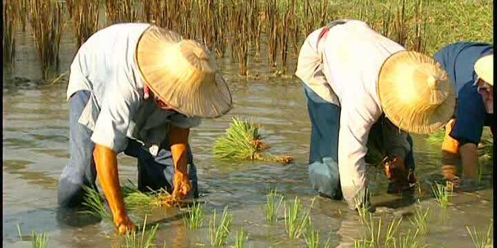 Trabajar en Tailandia