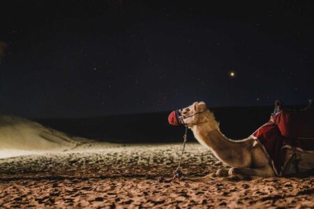 Mercato del lavoro a Dubai