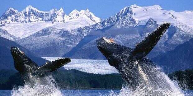 Vivir y trabajar en Alaska