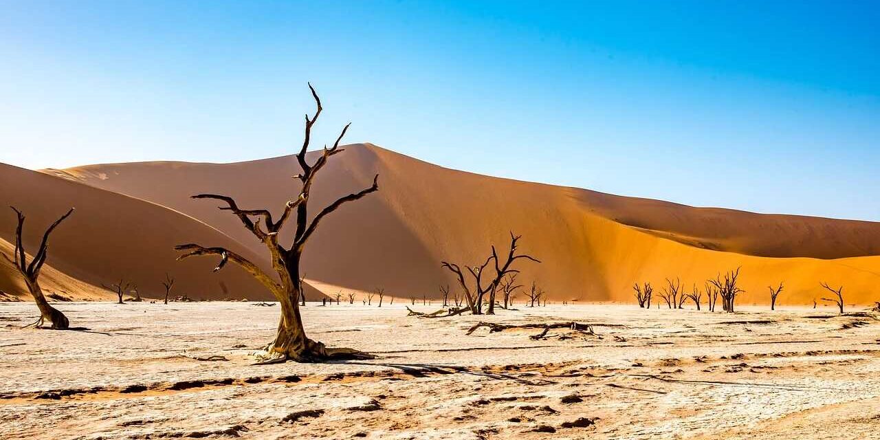 Vivir y trabajar en Namibia