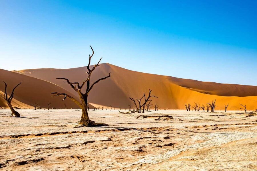 Living and working in NAMIBIA