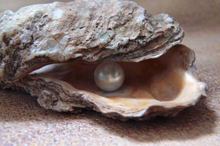Recoger perlas en Australia