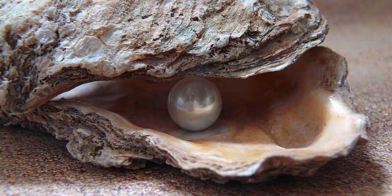 Recoger perlas en Australia