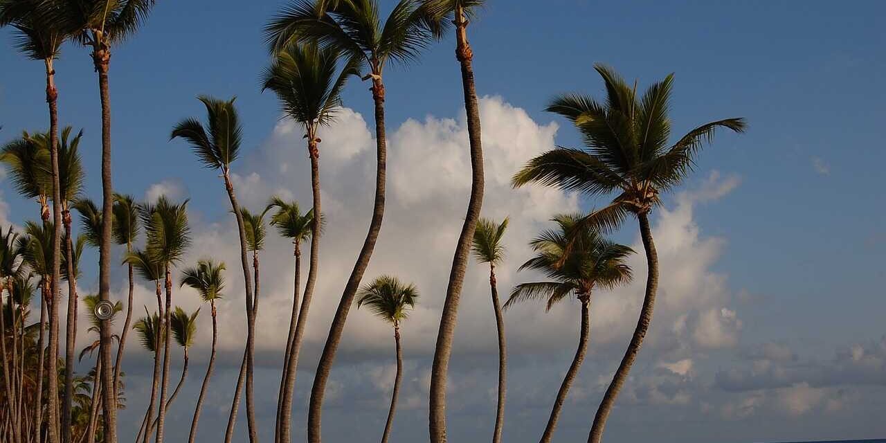 Vivir y trabajar en Punta Cana