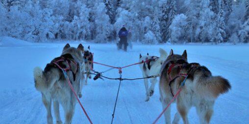 Encontrar trabajo en Finlandia