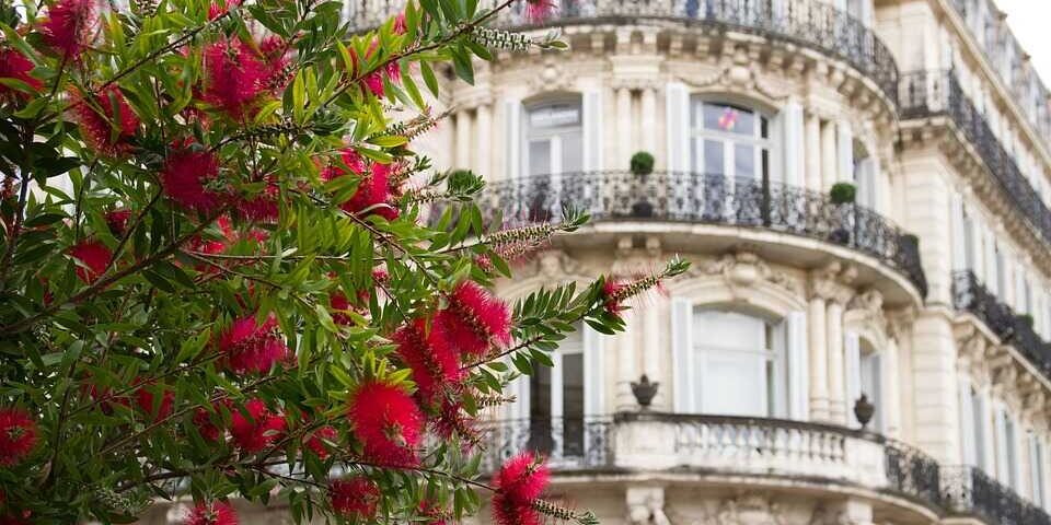Vivir y trabajar en Montpellier