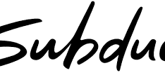 Subdued lavora con noi – I requisiti richiesti
