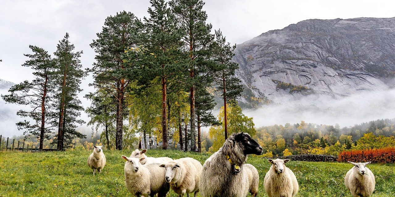 Oferta de trabajo agrícola en Noruega