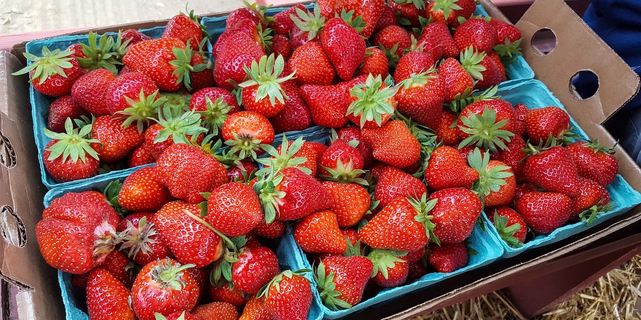 Lavoro in aziende agricole in Finlandia